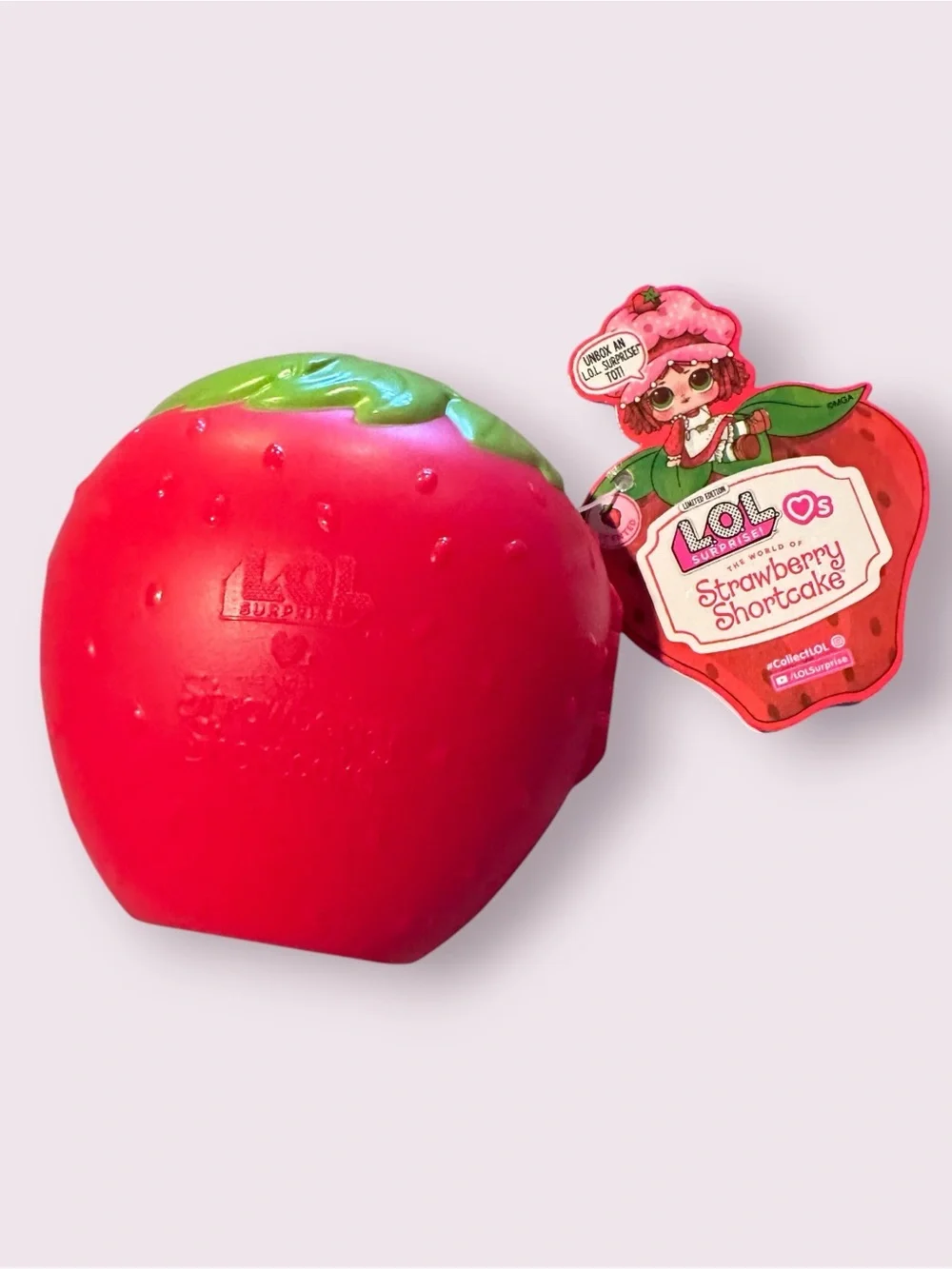 CASE ONLY LOL Doll Strawberry Shortcake Cases House Display